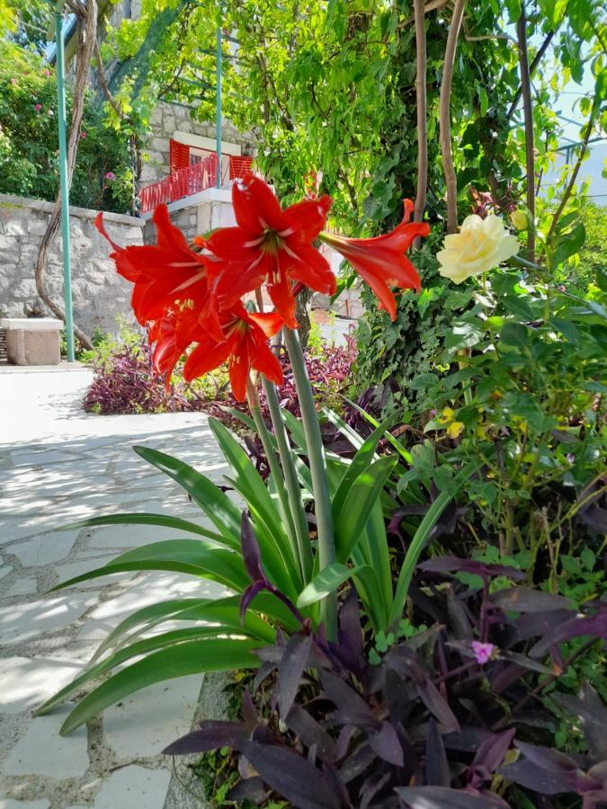 Stone House In Buljarica Villa Petrovac Exterior photo